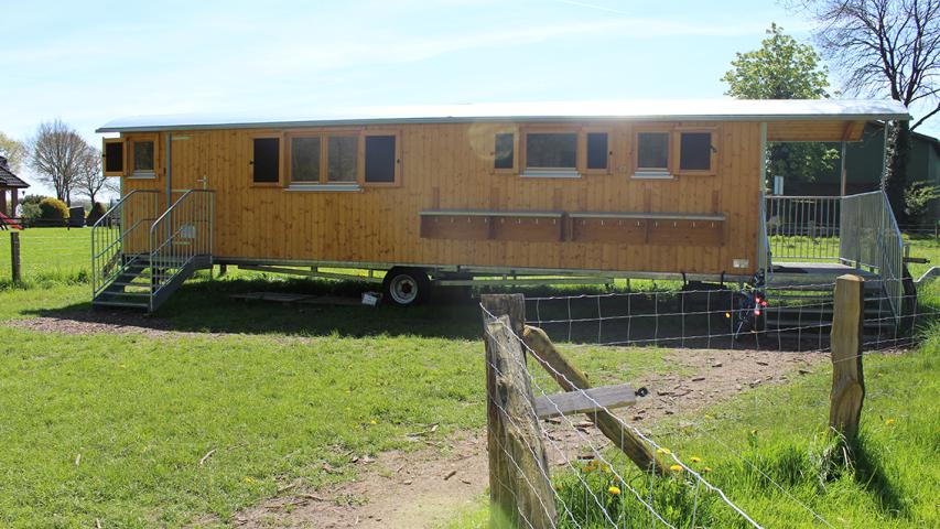 Waldwagen1